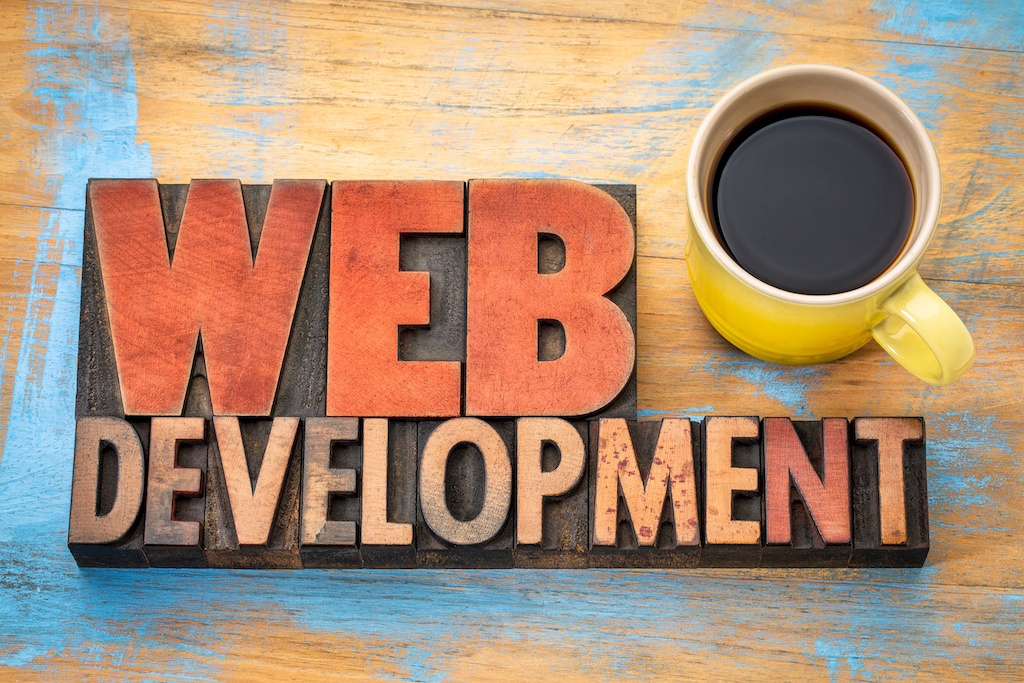 professional web development